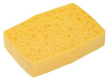 Sponge