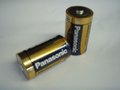 Batteries LR20